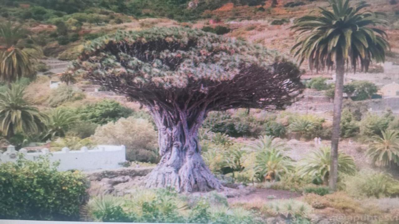 Tradicional Casa Canaria Con Piscina Y Vistas Al Teide Icod De Los Vinos Ngoại thất bức ảnh